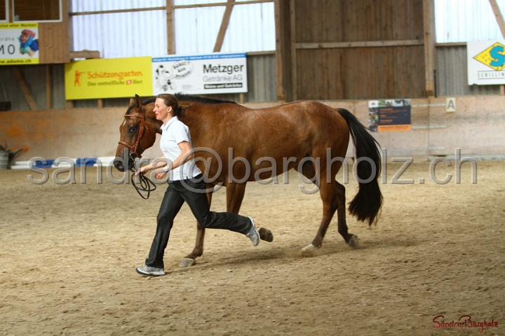 24-ApHC HIH_090.jpg